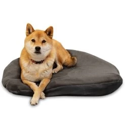 Klymit Moon Dog Bed -Wilderness Adventure klymit moon dog bed 3